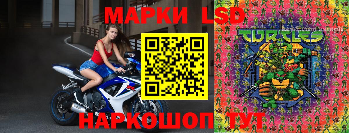 Марки N-bome  Вход с VPN  Наркотические марки 1500мкг  Верхняя Пышма  Наркотические марки 1500мкг 