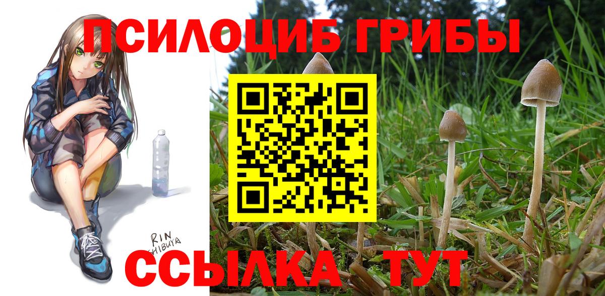 наркошоп  Верхняя Пышма  Псилоцибиновые грибы мухоморы  Галлюциногенные грибы мухоморы 