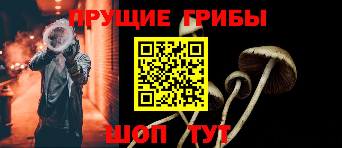 Галлюциногенные грибы ЛСД Верхняя Пышма